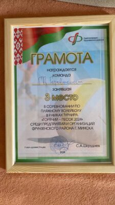 Турнир Фрунзенского района по пляжному волейболу "Горячий песок-2024"