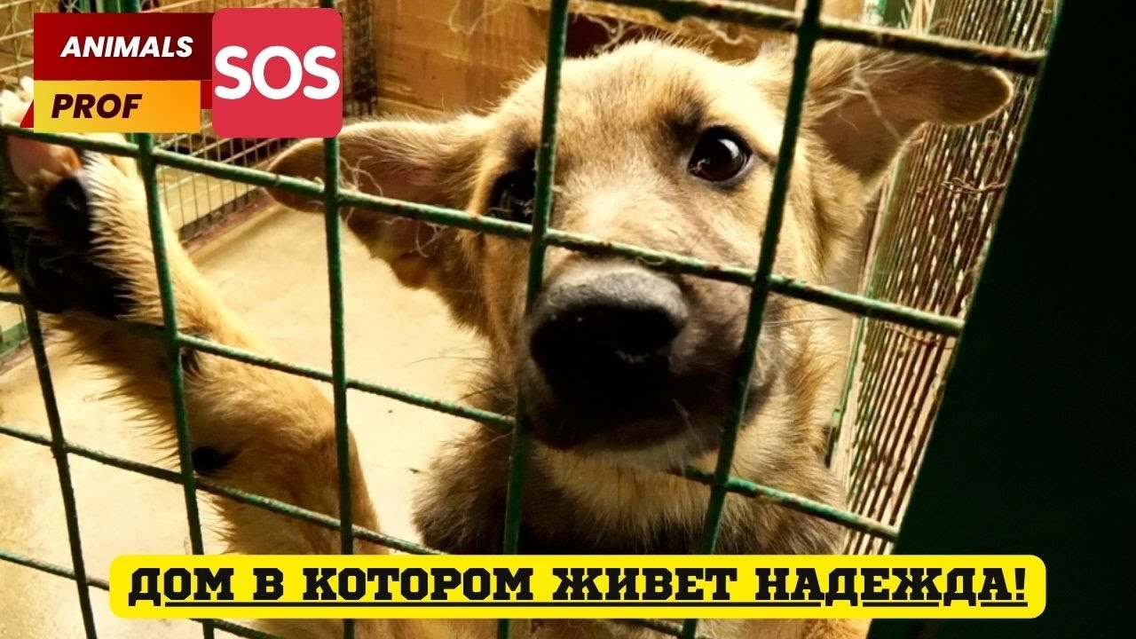 блог по испании